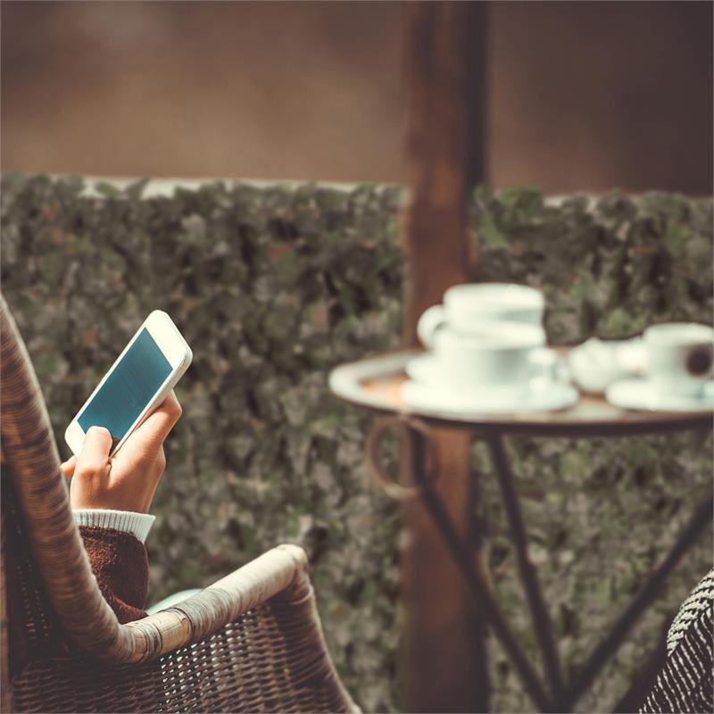 Blumfeldt Fency Dark Ivy, zástena, ochrana pred pozorovaním, ochrana pred vetrom, 300 x 150 cm, brečtan, tmavozelená – Obrázok 4