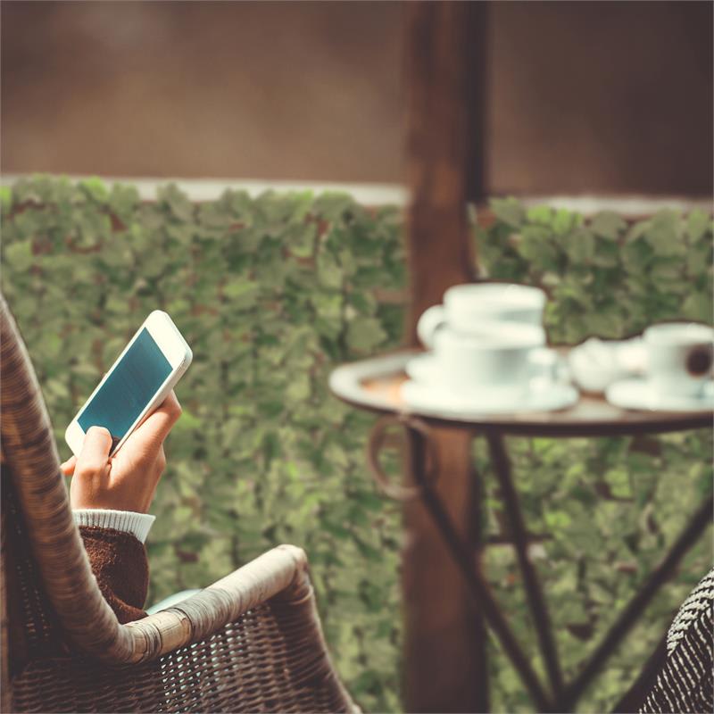 Blumfeldt Fency Bright Ivy, zástena, ochrana pred pozorovaním, ochrana pred vetrom, 300 x 150 cm, brečtan, svetlozelená – Obrázok 4