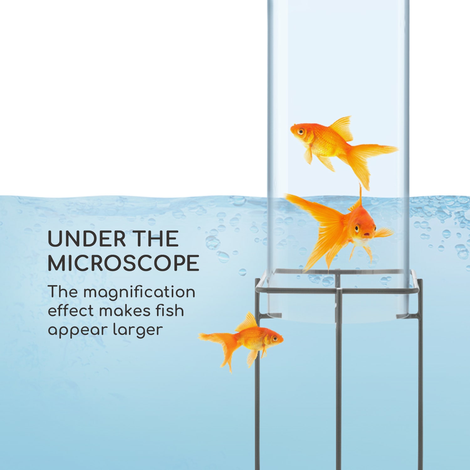 Blumfeldt Skydive 100, pozorovateľňa rýb, 100 cm, Ø 20 cm, akryl, kov, transparentná – Obrázok 3