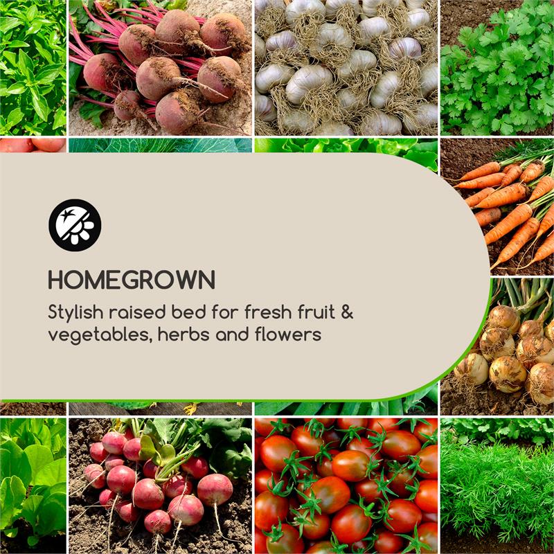 Blumfeldt Modu Grow 50, vyvýšený záhon, 50 x 45 x 50 cm, borovicové drevo, borovica – Obrázok 3