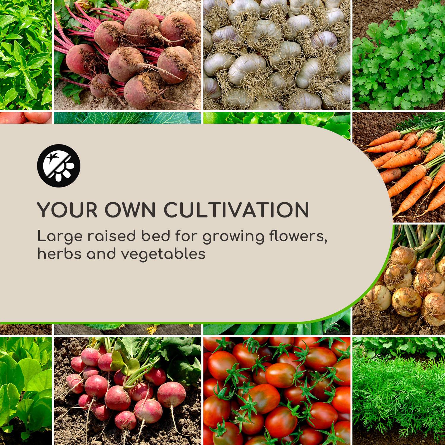 Blumfeldt Blum High Grow Straight, vyvýšený záhon, 100x60x100cm, 600l, oceľ – Obrázok 4