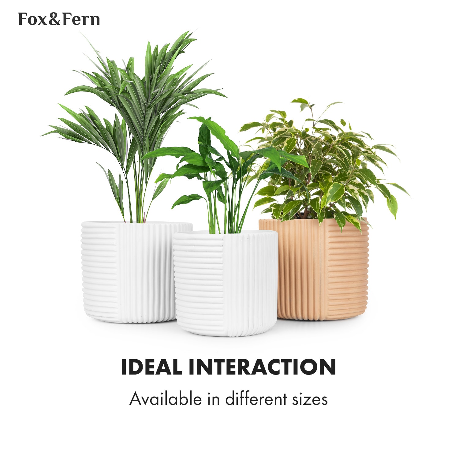Fox & Fern Hasselt, kvetináč z polystonu, ručne robený – Obrázok 5