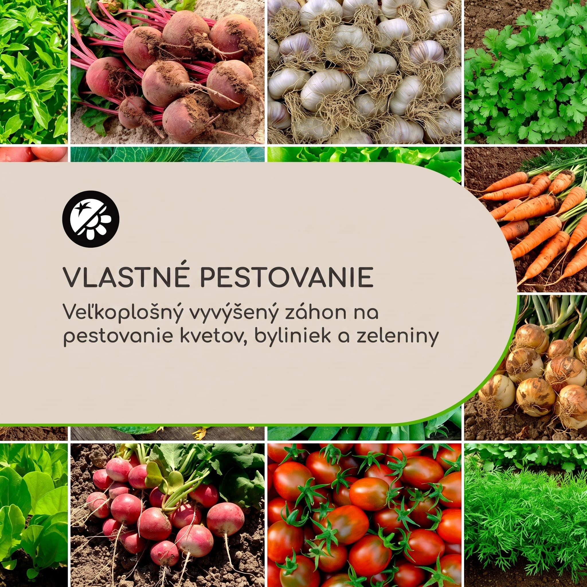Blumfeldt Rust Grow, vyvýšený záhon, záhradný záhon, pozinkovaný oceľový plech, hrdzavá úprava – Obrázok 3