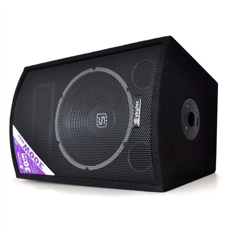 Skytec 30 cm (12”), pasívny reproduktor, 600 W, monitor – Obrázok 2