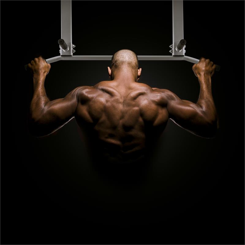 Capital Sports Tyro S7, max. 350 kg, strieborná, hrazda, stropná montáž – Obrázok 3