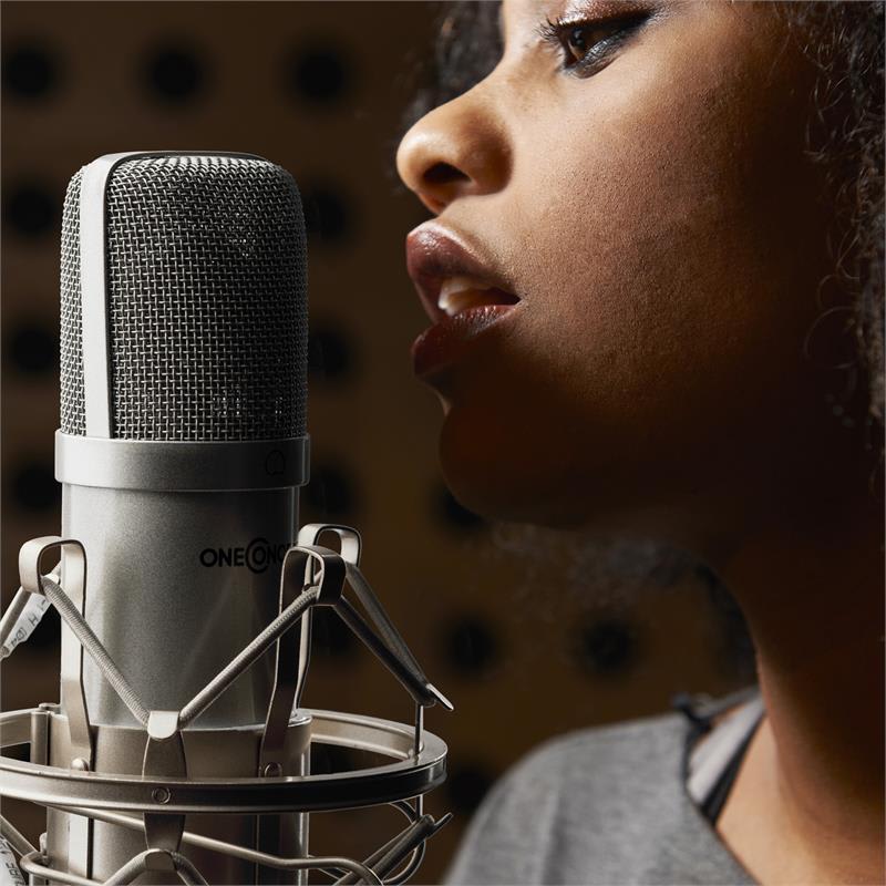 OneConcept Mic-700, strieborný, štúdiový mikrofón, Ø34 mm, univerzálny, pavúk, ochrana pred vetrom, XLR – Obrázok 5