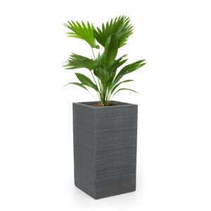 Blumfeldt Luxflor, kvetináč, 35 x 65 x 35 cm, sklolaminát, do interiéru aj exteriéru, tmavosivý