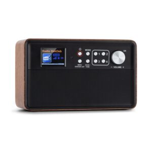 Auna Nestor, DAB+ rádio, DAB+/FM, 2 prevádzkové režimy, 2,4" TFT farebný displej, hnedé