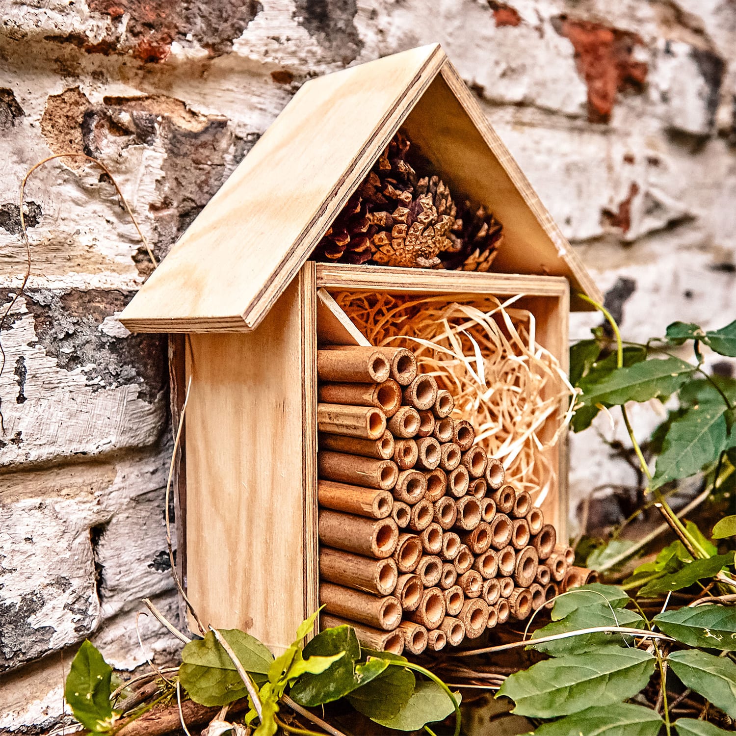 Blumfeldt Bambusové rúrky, 70 kusov, každá s dĺžkou 10 cm, farba dreva – Obrázok 5